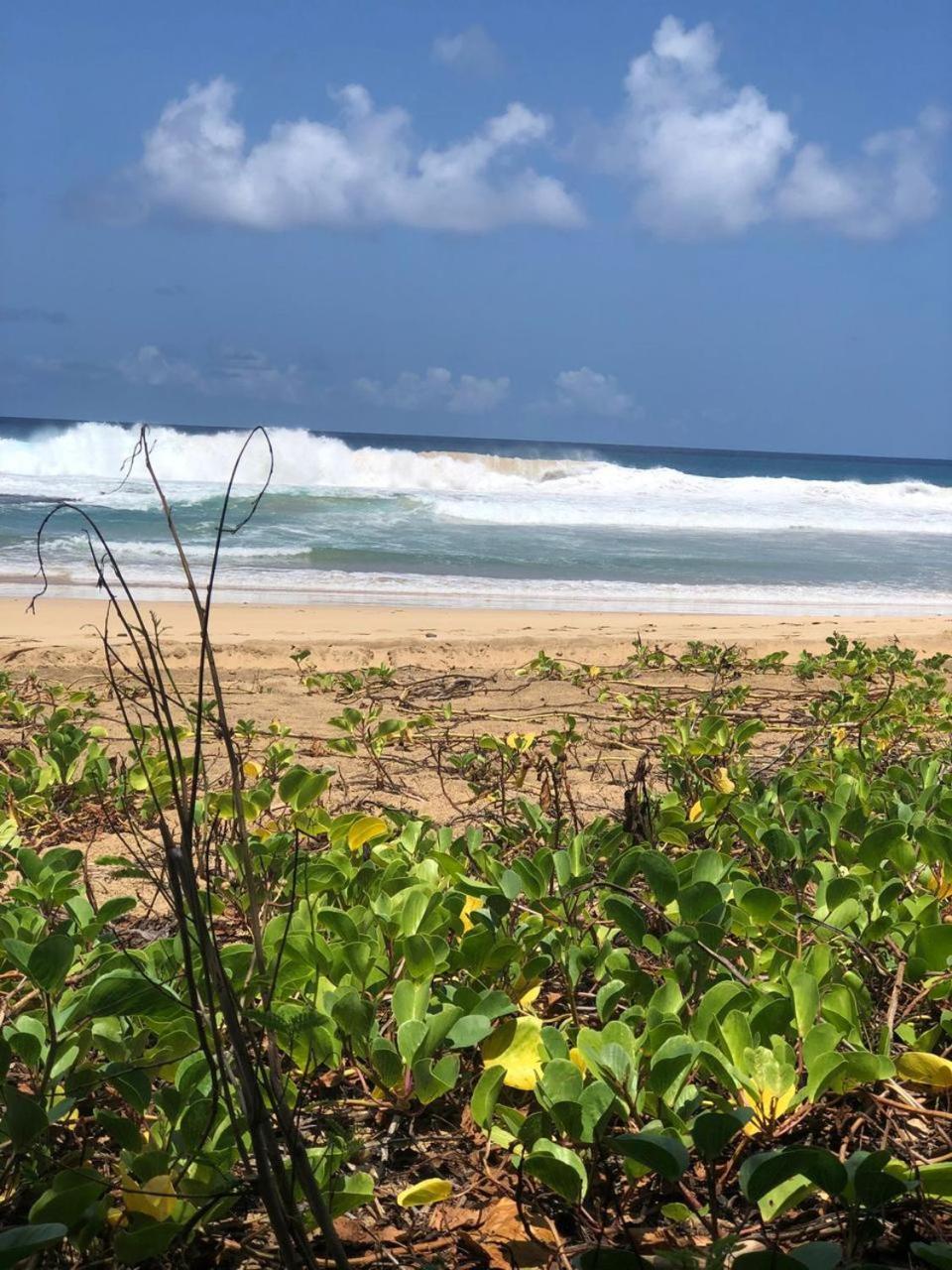 Pousada Boldro Home Fernando de Noronha Dış mekan fotoğraf