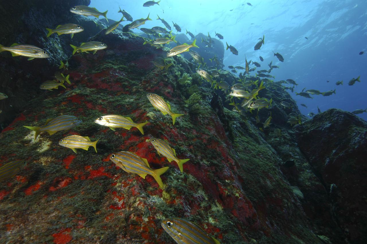 Pousada Boldro Home Fernando de Noronha Dış mekan fotoğraf