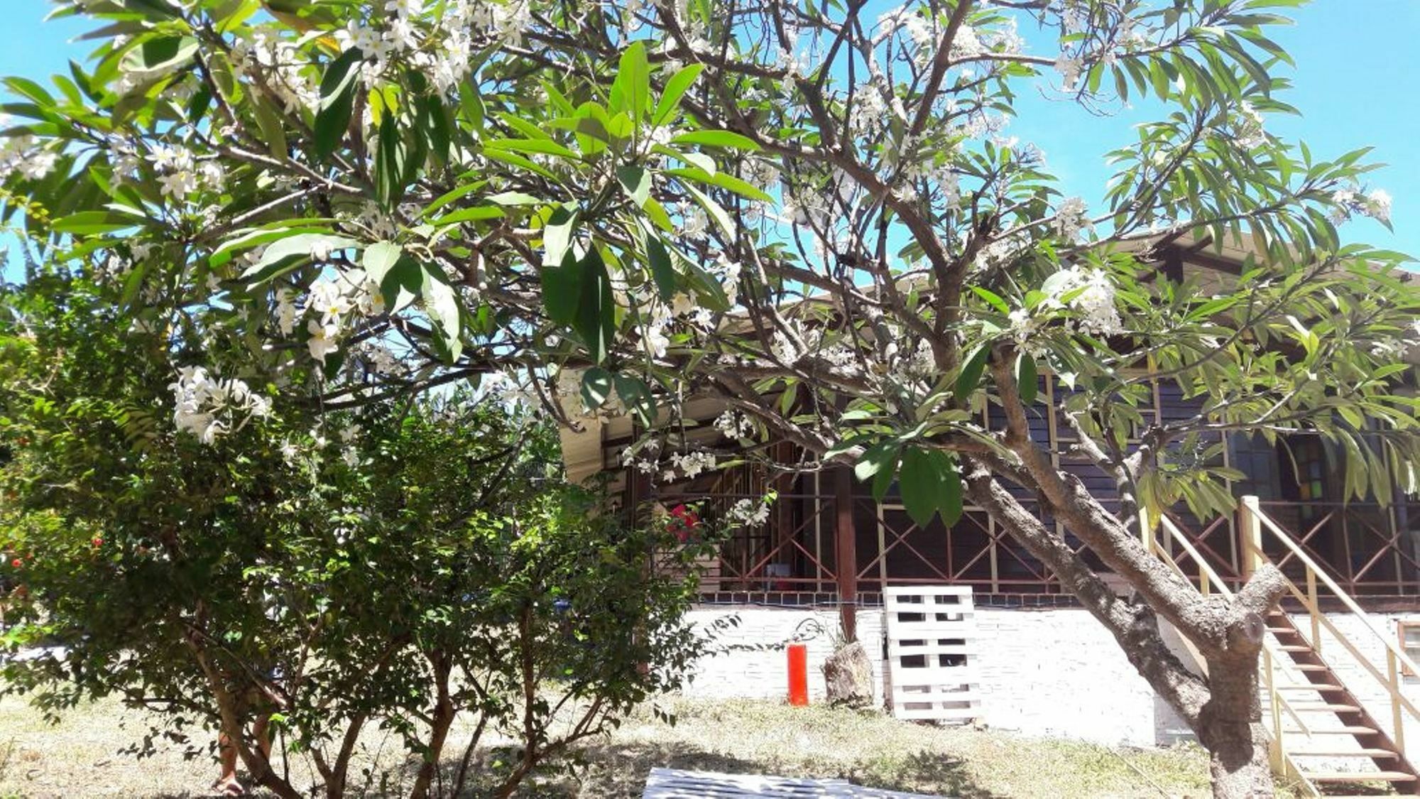 Pousada Boldro Home Fernando de Noronha Dış mekan fotoğraf